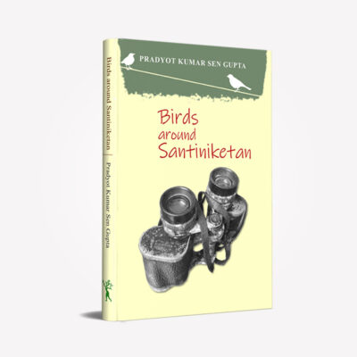 Birds-Around-Santiniketan